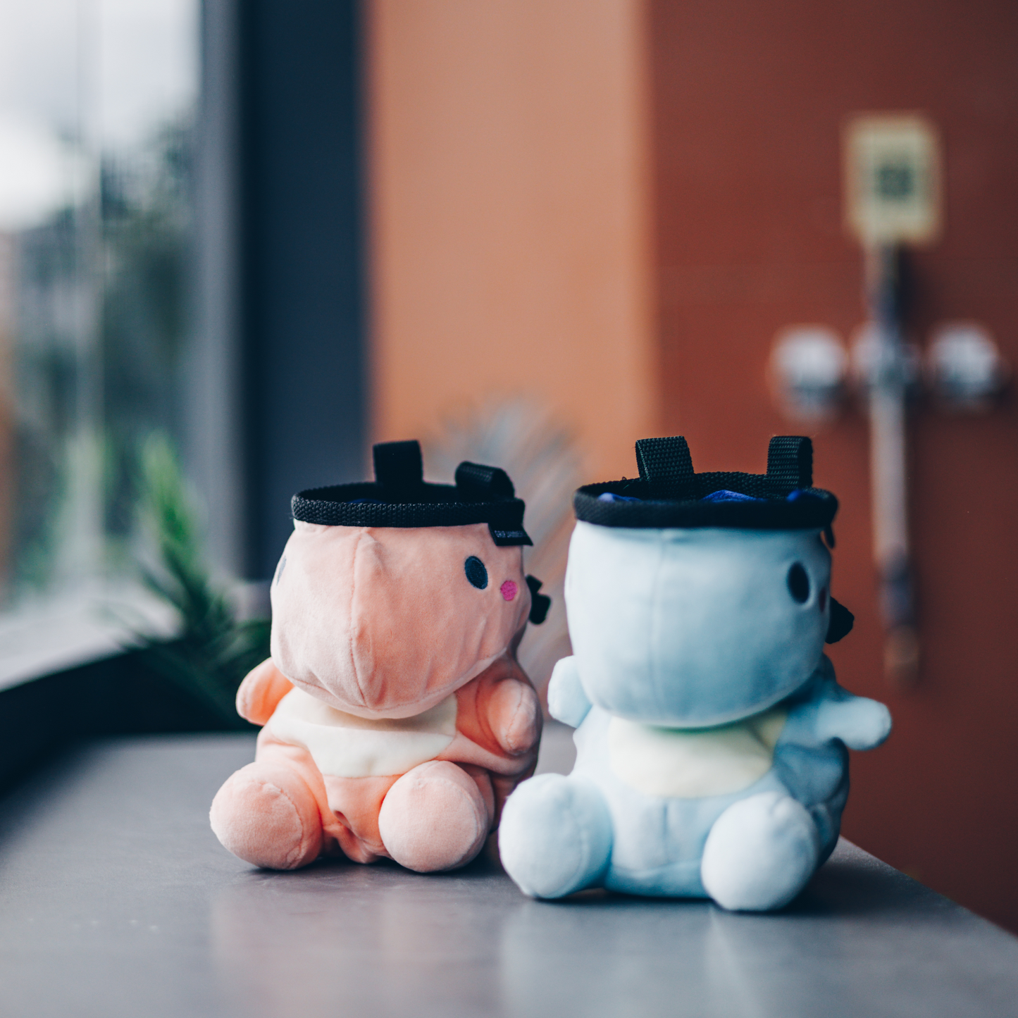 Dani the Dino Chalk Bag