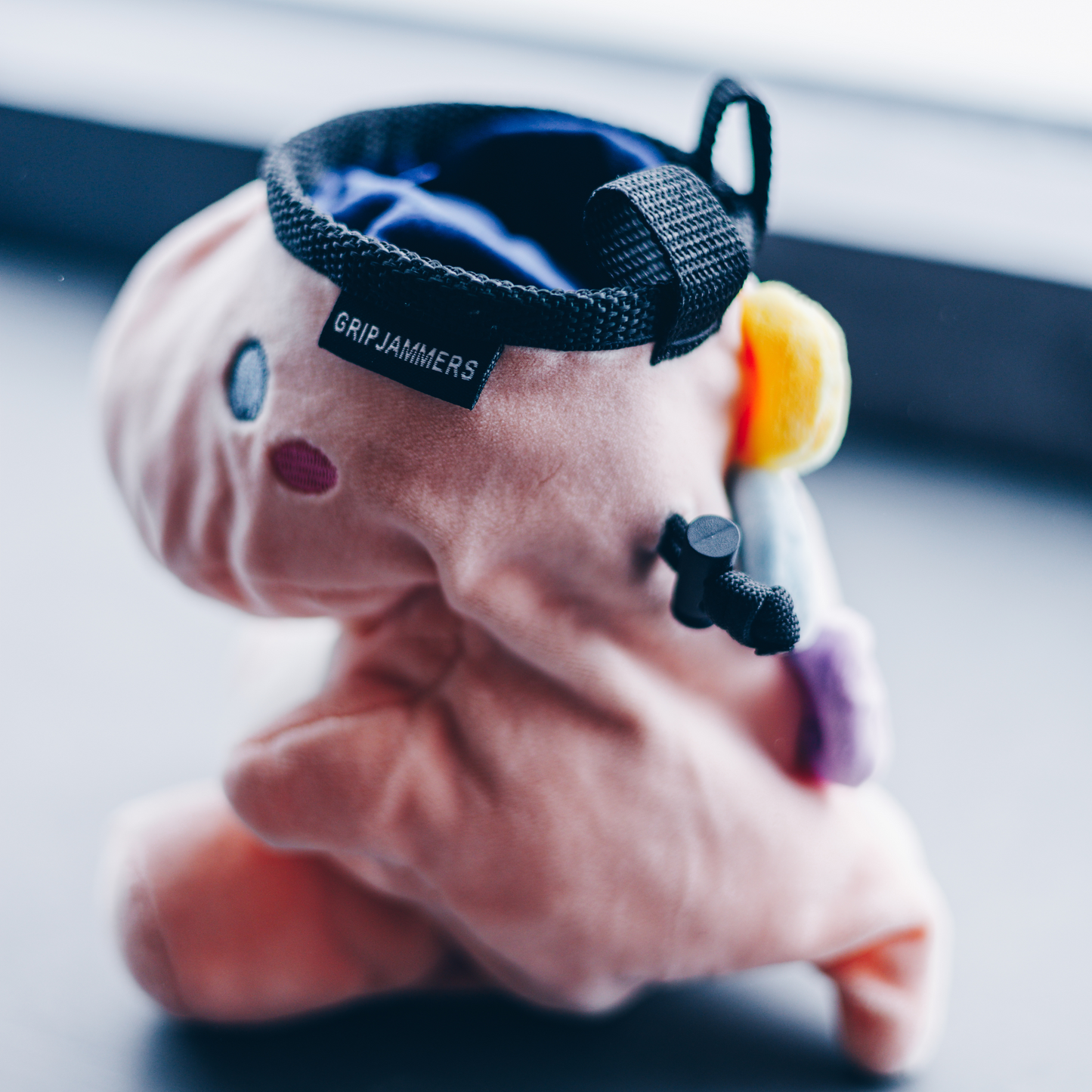 Danielle the Dino Chalk Bag