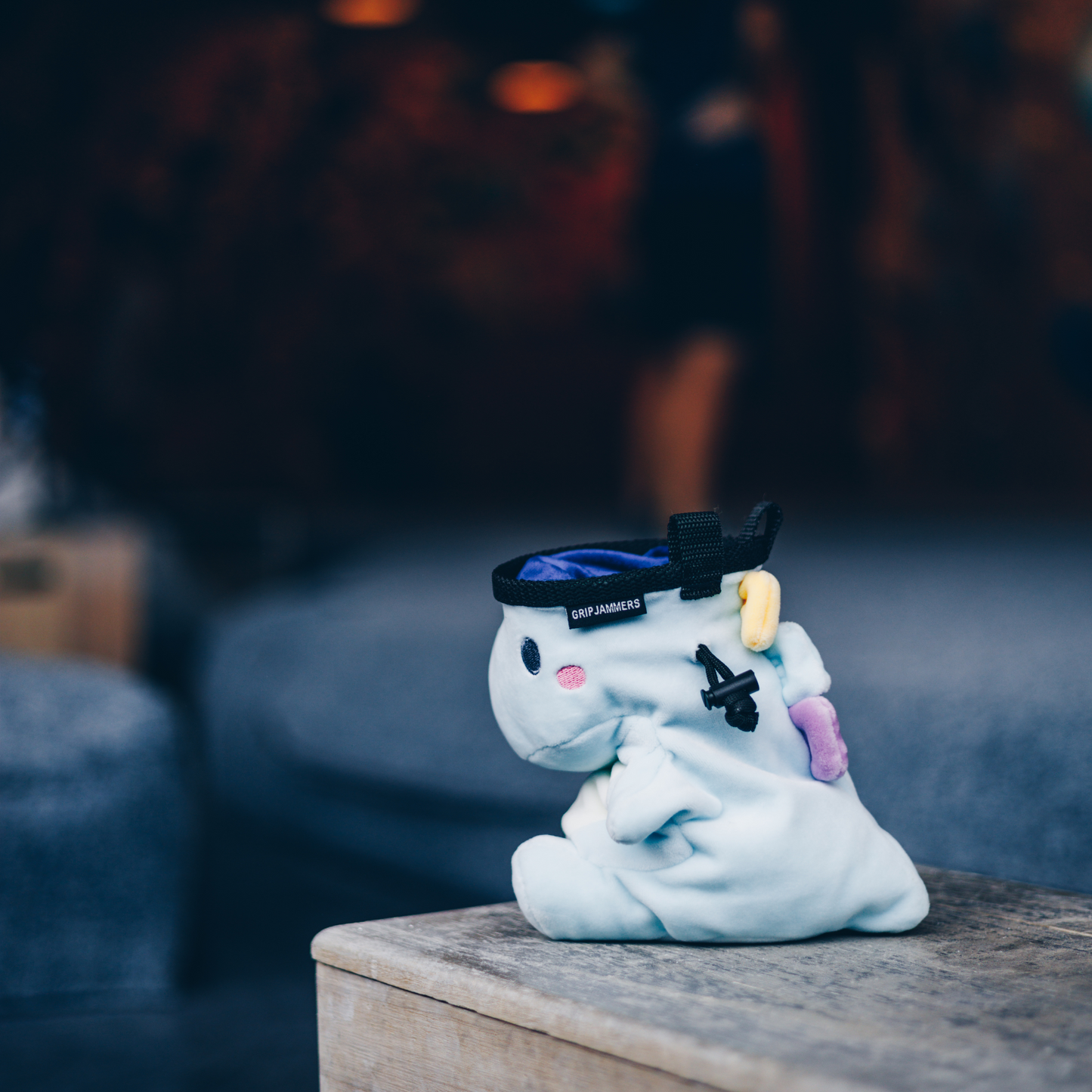 Dani the Dino Chalk Bag