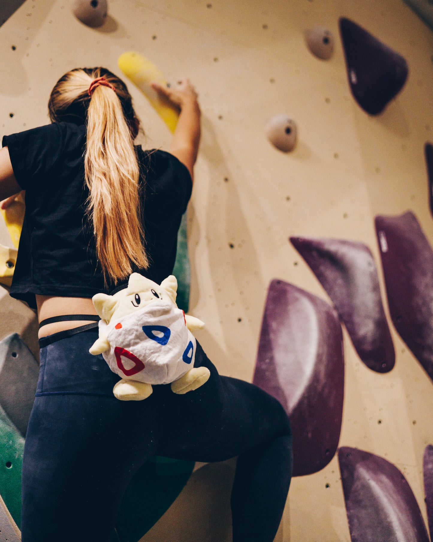 Togepi Chalk Bag