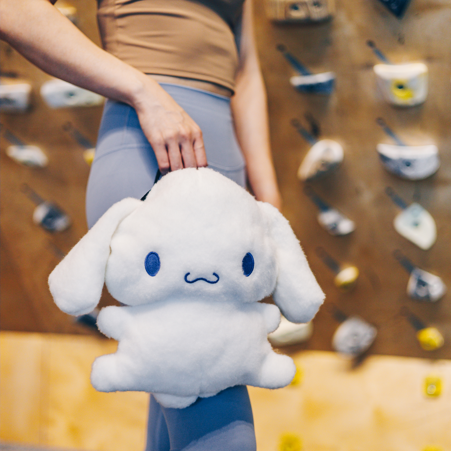 Cinnamoroll Chalk Bucket