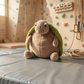Timmy Turtle Chalk Bag