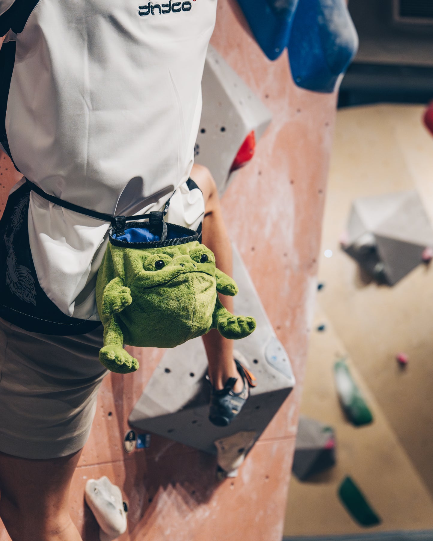 Fritz The Frog Chalk Bag